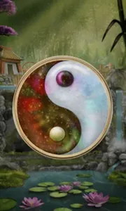 Panda Money