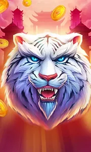 Luck of Tiger