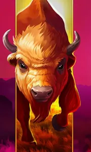 Big Wild Buffalo