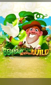 Beanstalk Grows Wild