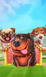 The Dog House